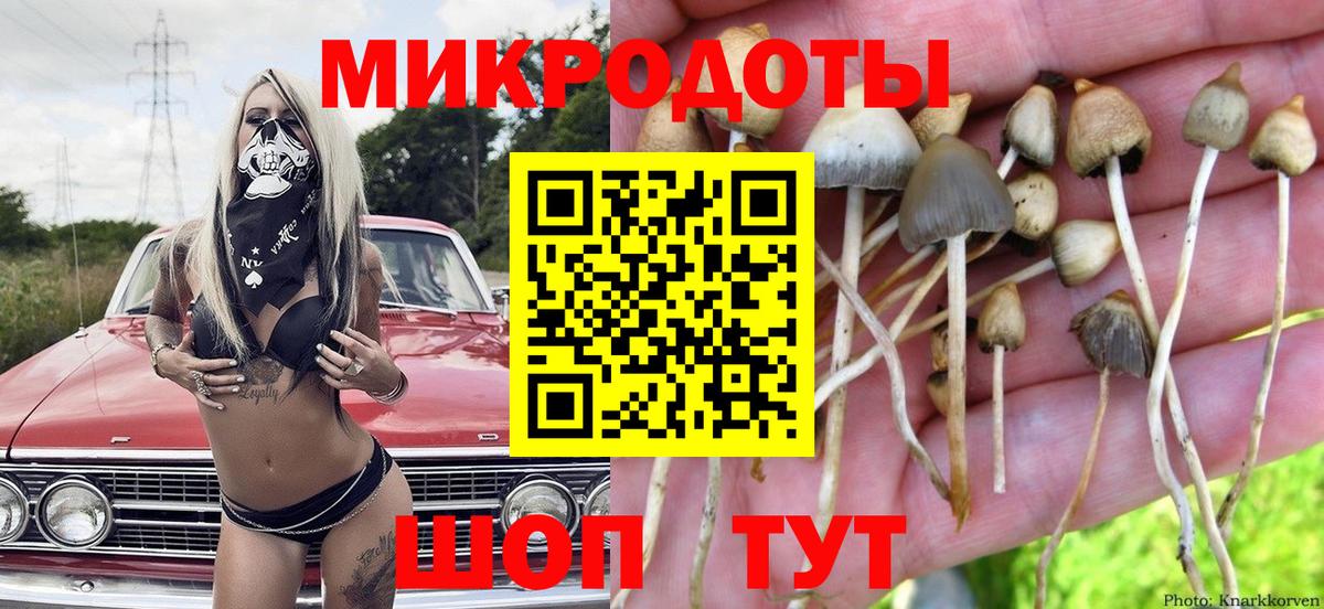 наркотики  Псилоцибиновые грибы Magic Shrooms  Вход с VPN  Махачкала 