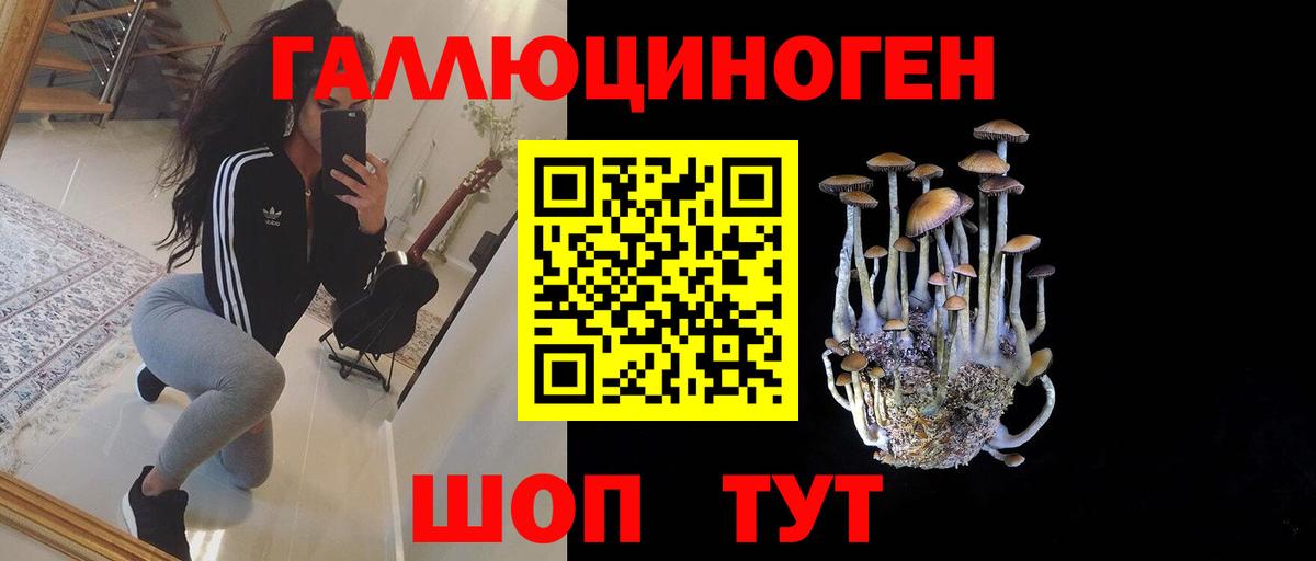 Псилоцибиновые грибы мухоморы Махачкала